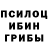 Псилоцибиновые грибы GOLDEN TEACHER Bojidar Stanchev