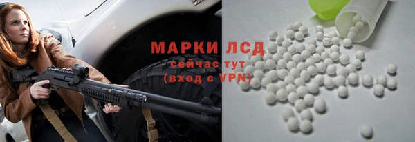 мдпв Бородино