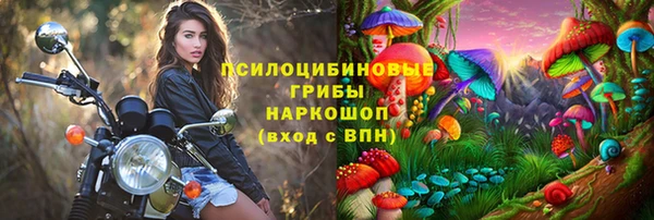 винт Богородицк