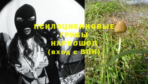 спиды Богданович