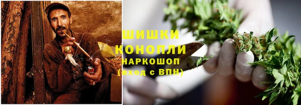 спиды Богданович