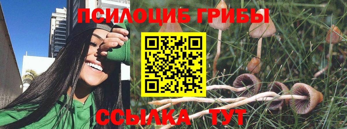 Галлюциногенные грибы Psilocybe  Вход с VPN  Острогожск 